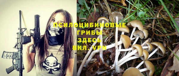 МДПВ Арсеньев