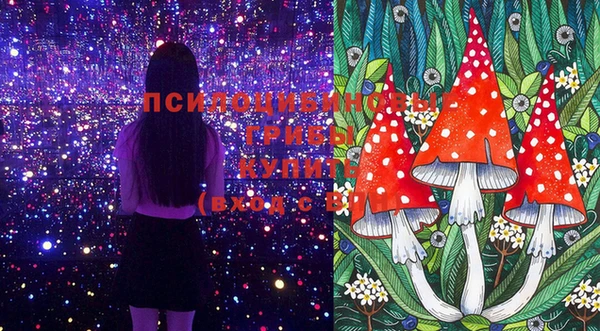 скорость Аркадак