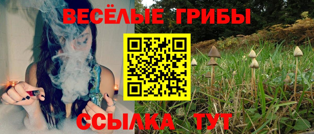 Кыштым  Галлюциногенные грибы Psilocybe  Вход с VPN 