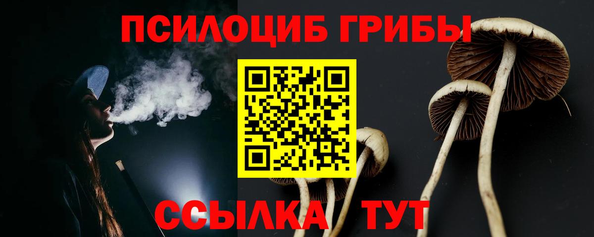 Конопля  ТГК  Вход с VPN  Меф МЯУ МЯУ  Меф   Кыштым  A-PVP СК   ГАШ 